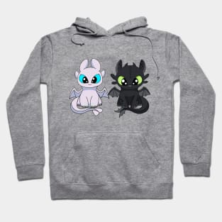 Baby dragon toothless & light furry, Httyd fanart, cartoon dragon furies, night fury Hoodie